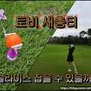 티골프 | 슬라이스 훅 잡는 토비 새총 골프티 사용 후기