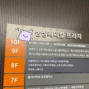 푸치푸치 | [서울근교/파주] 루프탑 애견운동장 &#34;푸치베이&#34; 5번 재방문 솔직후기🐶 :: 더운 여름 실내 오프리쉬 애견...