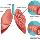 거제동물병원 이미지