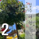대백마트온천점 | 8월의 경주, 기억에남는여행 2부
