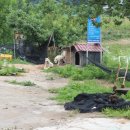 월곡 낚시터 이미지