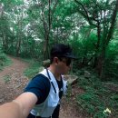 너래농원 | 알려주기 아까운 계곡 옆 숲길, 홍천 용소계곡 10km 트레일 러닝 후기!