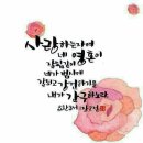 엘림헤어 네이버블로그