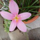 진맥잘보는한의원 이미지