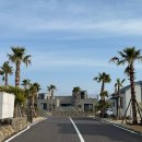 사계살랑4동 | 제주 서귀포 감성숙소 제주살랑 숙박후기 내돈내산 사계살랑4동