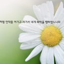 성구