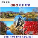 12/6 동백 선캐쳐 | [전북 고창] 선운산 오색 단풍 산행