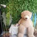 프로포즈 노래연습장 이미지