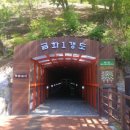 팔공산금화자연휴양림 | 전자휴 팔공산 금화 자연휴양림