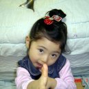 오즈헤어 이미지