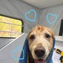 멍즈니랜드 이미지