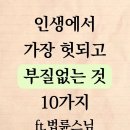 인생 헛되고 부질없는것10가지 이미지