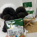 지니펫 | 강아지 홍삼 가수분해사료 정관장 지니펫 강아지 밥 급여 후기
