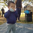 그늘막38 이미지