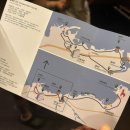 그라벨 호텔 제주 이미지