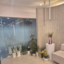 큰나무이비인후과의원 이미지