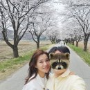 성대2리 이미지