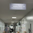 힐링 원예교실 | [용인] 💐기흥구 보건소 '임산부 꽃꽂이 교실 <센터피스> 힐링 강의' 참여 후기