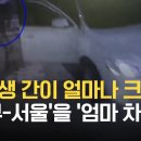 K-초등학생 무면허 운전 근황.jpg 이미지