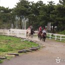 성읍승마장 이미지