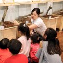 남원백두대간생태교육장전시관 이미지