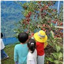 행복이가득한어린이집 이미지