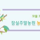 잠실주말농원농촌교육농장