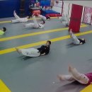 증산용인대태권도장 이미지