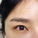 애드치크