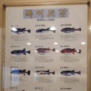 청운복집 이미지