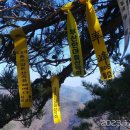 서두경로당 Daum카페