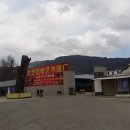 준여행사