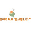 김밥엔국수