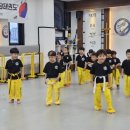 용인대 도담 태권도장 이미지