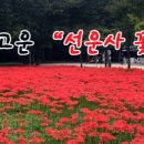 해피버스클럽여행사