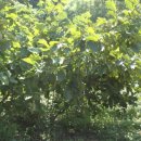 개암농장 이미지