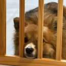 두리약국 | 종로약국 남대문약국성지 왕솔약국 가격 정리 및 주말 방문 후기