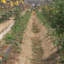 김정태 농장 이미지