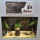 경주동궁원 스탬프 투어 후기