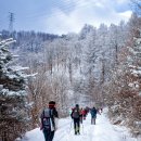 1/7 강원 평창 백덕산(1,350m) 100대 명산 눈꽃 산행 이미지