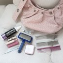 랙돌캐터리파이널돌 | 피치돌 랙돌캐터리 : 2026년 3월 28일 CFA캣쇼