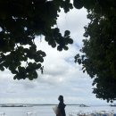 만타 | 누사페니다 만타 스노클링 프리다이빙 여행 후기