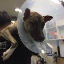 동현24시동물병원 이미지