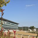 렛츠런파크 부산경남 경마공원 주말 나들이 아이와 갈만한곳 주말행사 놀이터 어린이승마 안내 주차 후기