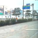 앗싸 해물칼국수 물회 이미지