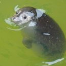 경기대로1010번길 이미지