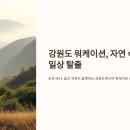 화진포 푸른펜션 | 강원도 워케이션, 자연 속에서의 일상 탈출 🌲💼