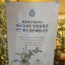 세븐에이엠 커피