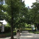 탑거리세천 | DOT LOVER : : 도트에 미친 자, 도친자가 구매한 도트제품 추천템, 구매 리스트 - 폰케이스, 가방, 티...