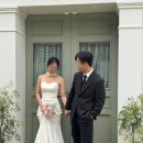 초록문 | 루미에스튜디오 | 아치문, 초록문 배경 촬영 후기